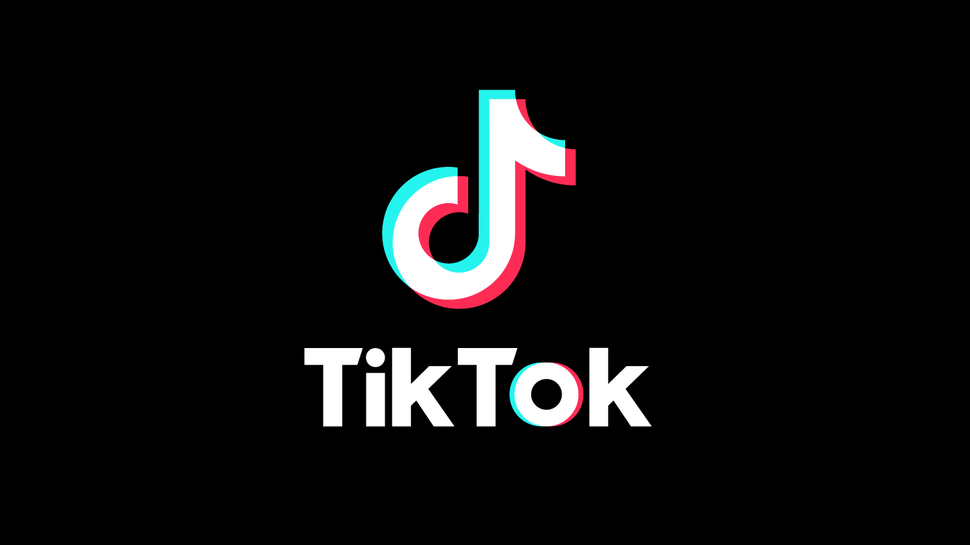 TikTok Private Account Viewer