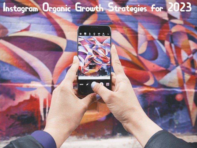 Instagram Organic Growth Strategies